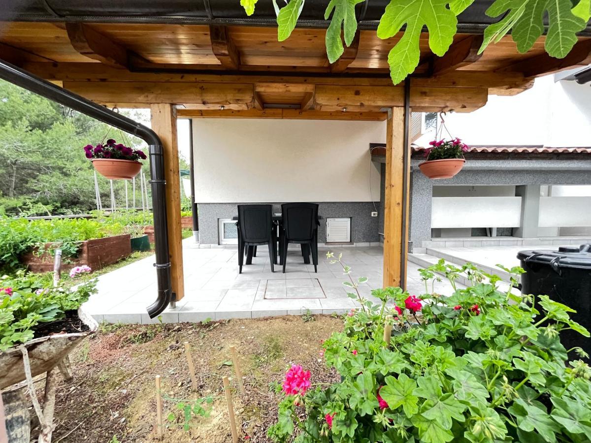 Vir Apartman Alena Exteriér fotografie