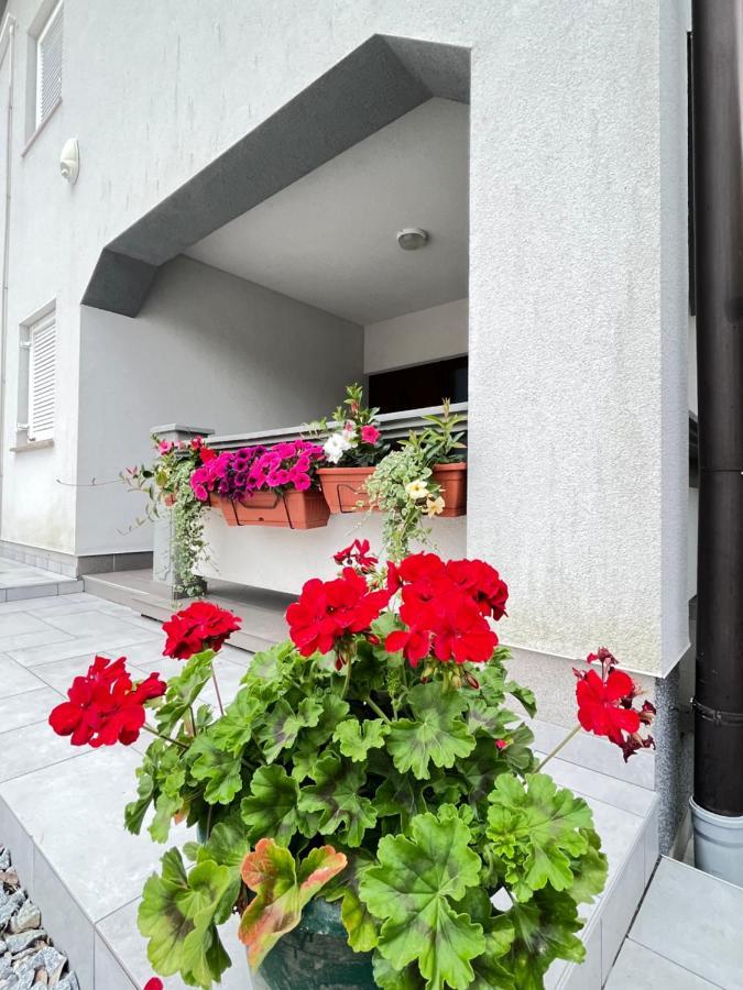 Vir Apartman Alena Exteriér fotografie